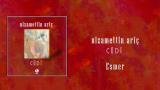Nizamettin Ariç - Esmer - [Official Music Video © 2001 Ses Plak ]