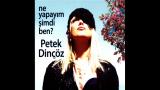 Petek Dinçöz - Solan Çiçekler