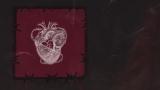 Yasir Miy - Kalbimde Dikenli Teller - Lyric Video